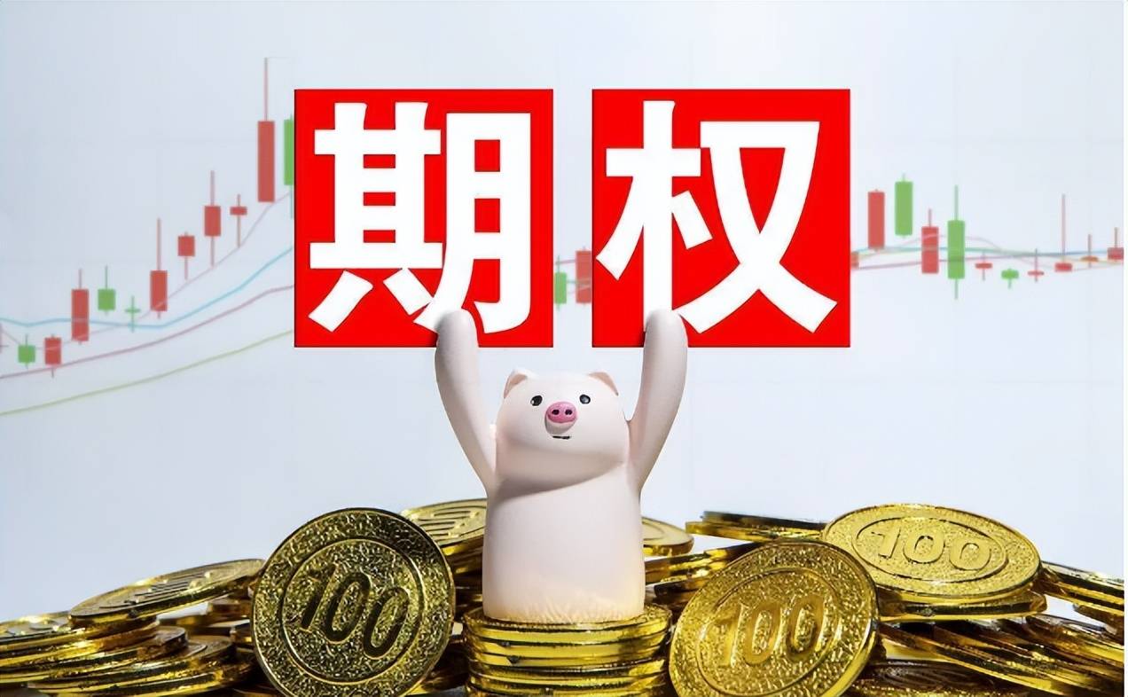 期权手续费要多少钱?