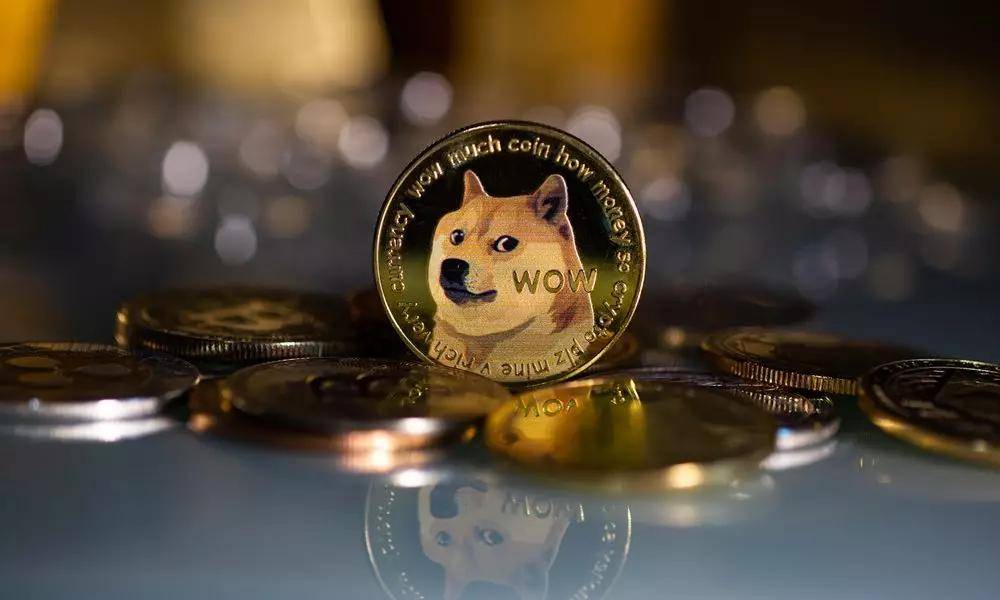 doge币(doge币是什么)