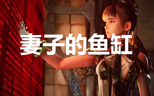 维特币是什么(维特币是什么意思)